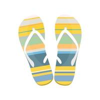 Human sandal beach wear multicolor on isolated background, Vector illustration.