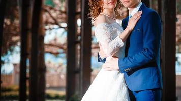 novia y novio en el día de la boda caminando al aire libre en primavera naturaleza pareja nupcial feliz recién casado foto