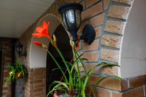 Garden Lanterns on the Wall with Sunlight Background for Home Decorate Idea photo