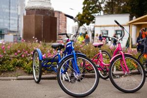 Group of bicycles in the row for rent photo