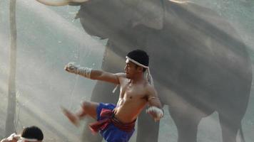 Two Young males wearing Thai tradition short, head and hands wrapped in twisted hemp rope and showing beautiful fighting art of Muay Thai, Blurred elephants and spreading white mist in background