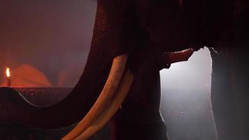Handheld Backlight shot, night scene, Close up Asian mahout man caring for elephants in camp at night