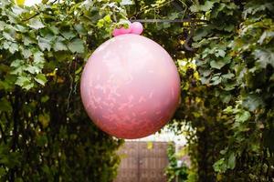 round pink pinata in the garden photo
