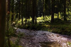 Beautiful landscape rapids on a mountains river in sunlight. Filtered image colorful effect. photo