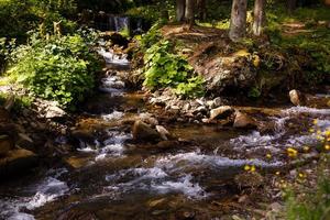 hermosos paisajes rápidos en un río de montaña a la luz del sol. efecto colorido de la imagen filtrada. foto