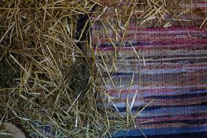 Patterned carpet on the wooden wall. Textile rug texture, pattern. photo