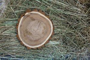 Closeup photo of tree trunks lying on hay Wooden saws Cross section of the tree