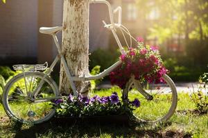 bicicleta vintage en el campo con una bolsa y una cesta foto