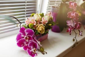 pink orchids in a vase on a windowsill in soft focus photo