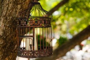 vintage wedding decorative birdcage with candles on natural background photo