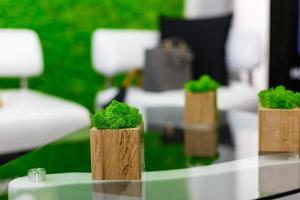 decor, wooden cube with a plant photo