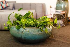 Huge decorative pot with flowers photo