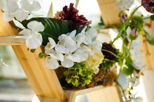 Fresh spring flowers on wooden background photo