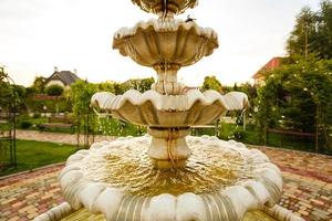 agua en fuente bajo la forma de flor foto