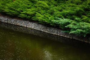 orilla rocosa del río. guijarros en la orilla del río en verano. foto