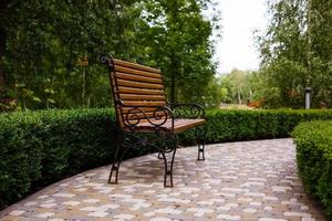 Forged wooden bench under the crown of trees in the city park on a sunny day. Perspective photo