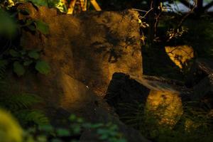 Pile of rocks stone in mountains. Zen concept. foot of the mountain in the Carpathians, large stones photo