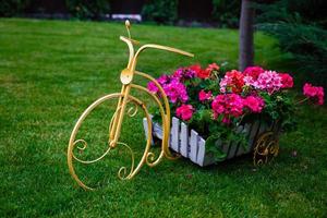 Flower In Basket Of Vintage Old Bicycle near Vintage Wooden Summer Street Cafe in Europe photo