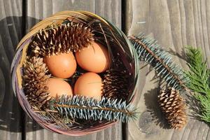 Easter eggs in a basket of 4 with pine leaves and pine cones on a light wooden background. photo