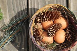 Easter eggs in a basket of 4 with pine leaves and pine cones on a light wooden background. photo