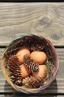 Easter eggs in a basket of 4 with pine leaves and pine cones on a light wooden background. photo