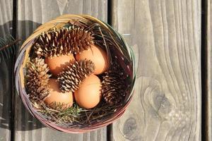 Easter eggs in a basket of 4 with pine leaves and pine cones on a light wooden background. photo