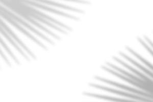 Palm leaf natural shadow overlay effect on white texture background, for overlay on product presentation, backdrop and mockup photo