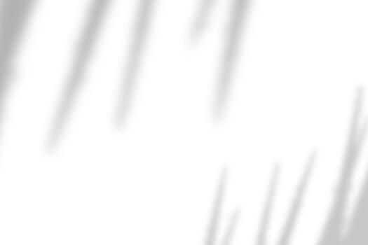 Palm leaf natural shadow overlay effect on white texture background, for overlay on product presentation, backdrop and mockup photo