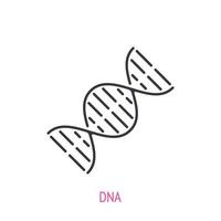 DNA helix. Outline icon. Vector illustration. Molecule spiral with genetic code. Symbols of scientific research and education. Thin line pictogram for user interface. Isolated white background