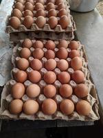 huevos de gallina apilados con estantes para la venta foto