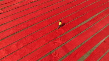 secado de tela roja en narsingdi, bangladesh foto
