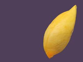 una carne durian de color amarillo dorado, rey de la fruta, forma y forma natural, fondo púrpura, aislado, espacio de copia con ruta de recorte, objeto, elemento