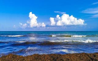 hermosa playa caribeña totalmente sucia sucio asqueroso problema de algas mexico.