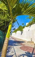 Natural tropical mexican beach 88 entrance Playa del Carmen Mexico. photo