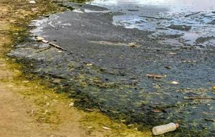 río verde sucio contaminado y basura en puerto escondido méxico. foto