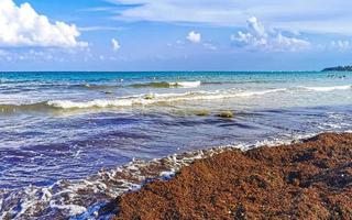 hermosa playa caribeña totalmente sucia sucio asqueroso problema de algas mexico. foto