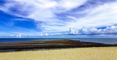 hermosa playa caribeña totalmente sucia sucio asqueroso problema de algas mexico. foto