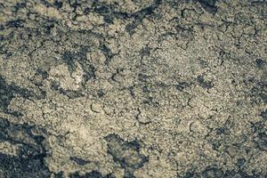 Textura de roca de piedra con musgo verde y líquenes en Brasil. foto