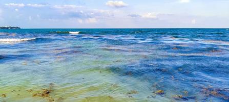 Beautiful Caribbean beach totally filthy dirty nasty seaweed problem Mexico. photo