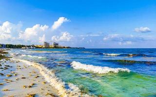 Tropical Caribbean beach water seaweed sargazo Playa del Carmen Mexico. photo