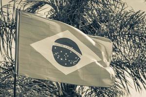 Brazilian flag with palm trees and blue sky background Brazil. photo