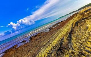 hermosa playa caribeña totalmente sucia sucio asqueroso problema de algas mexico. foto