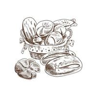 conjunto de panadería estilo boceto dibujado a mano vintage. cesta de mimbre con pan, bagel y bollo. dibujo aislado sobre fondo blanco. icono de esbozo y elemento de panadería. vector