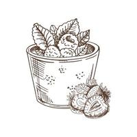 A hand-drawn sketch of a dairy dessert with raspberries and mint leaves and strawberries lying next to it. A drawing highlighted on a white background. Vintage element. vector