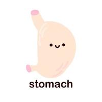 Kawaii stomach. Cute kawaii human internal organs. Cheerful children's drawings in a flat style, hand drawn, human anatomy. vector