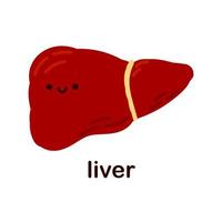 Kawaii liver. Cute kawaii human internal organs. Cheerful children's drawings in a flat style, hand drawn, human anatomy. vector