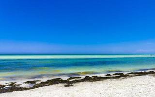 Beautiful Holbox island beach sandbank panorama turquoise water people Mexico. photo