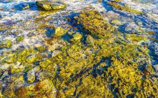 Stones rocks corals turquoise green blue water on beach Mexico. photo