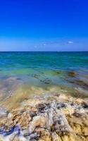 Tropical caribbean beach clear turquoise water Playa del Carmen Mexico. photo