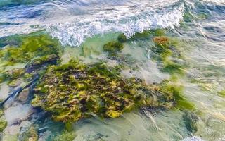 Stones rocks corals turquoise green blue water on beach Mexico. photo